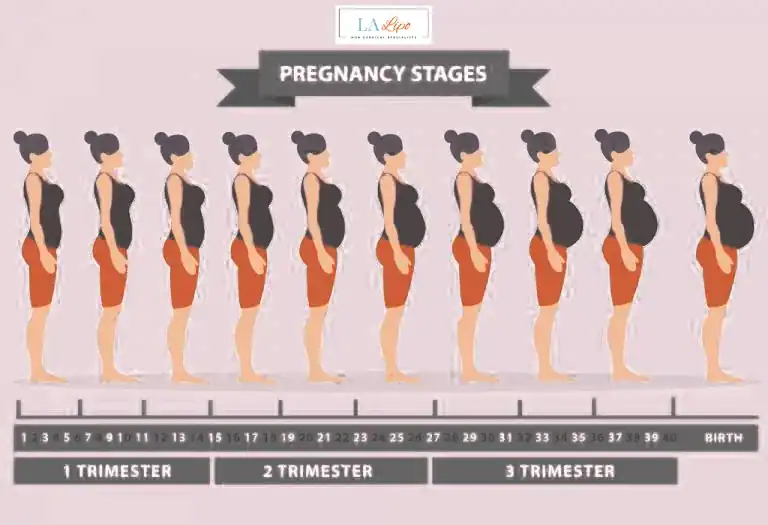 First Trimester (Weeks 1–12): Early Changes You Might Not Notice Acocks Green